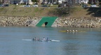 Men s Novice 4 h